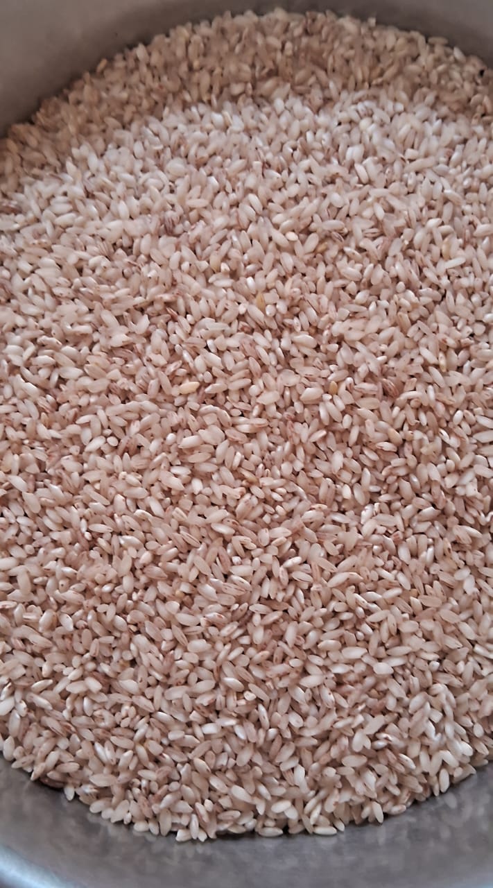 WhatsApp Image 2025-07-10 at 10.33.54 AM.jpeg